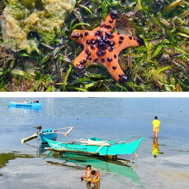 Tubod beach à Siquijor