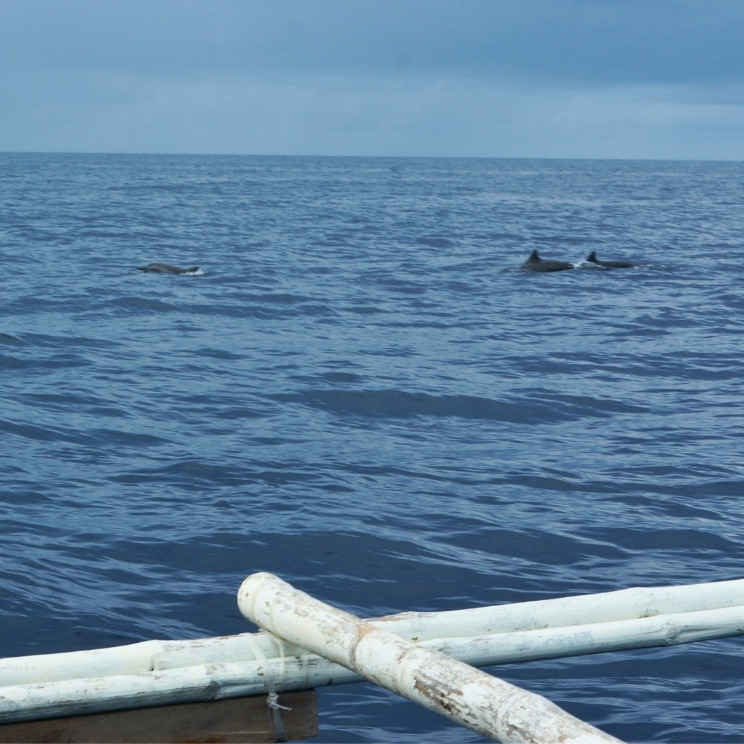 Excursion en bateau à Siquijor